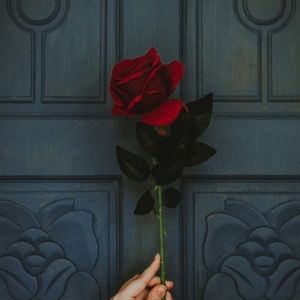 Meet your Posher, Summer